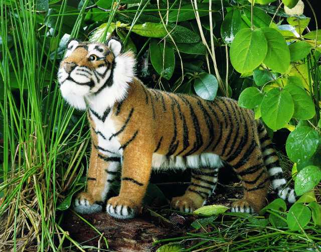 Bild anklicken vergr&ouml;&szlig;ert