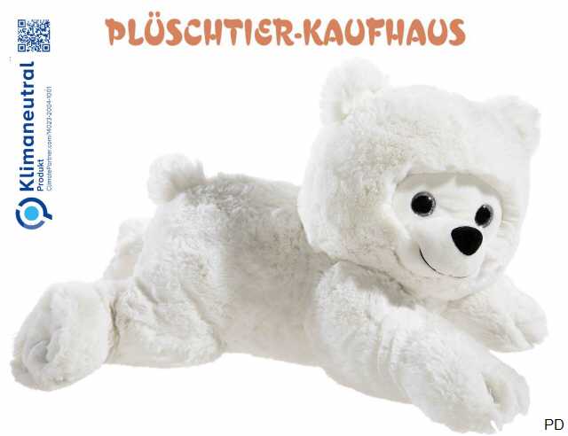 Bild anklicken vergr&ouml;ssert