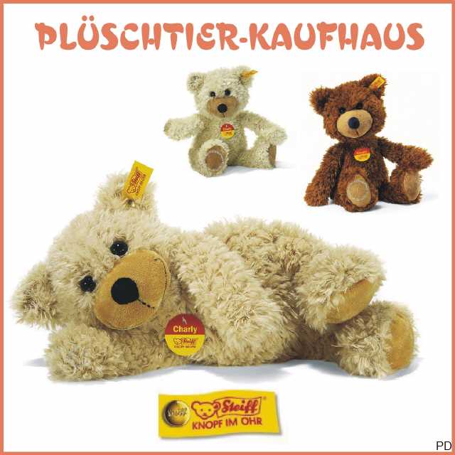 Bild anklicken vergr&ouml;&szlig;ert