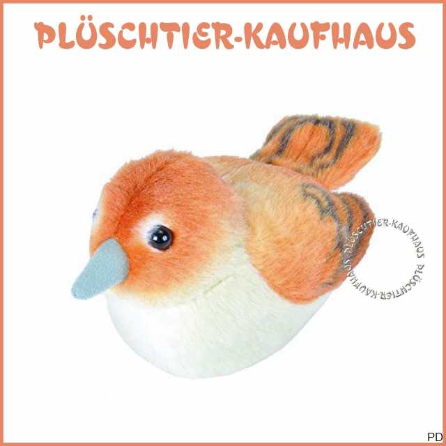 Bild anklicken vergr&ouml;&szlig;ert